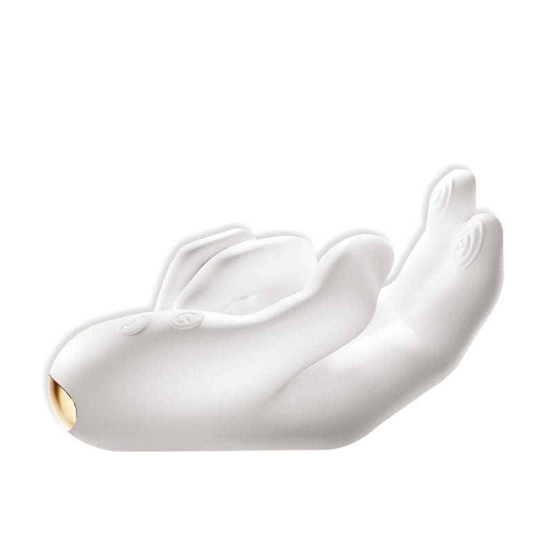 AROSELOVE compact vibrator suitable for private couples toy comparisons