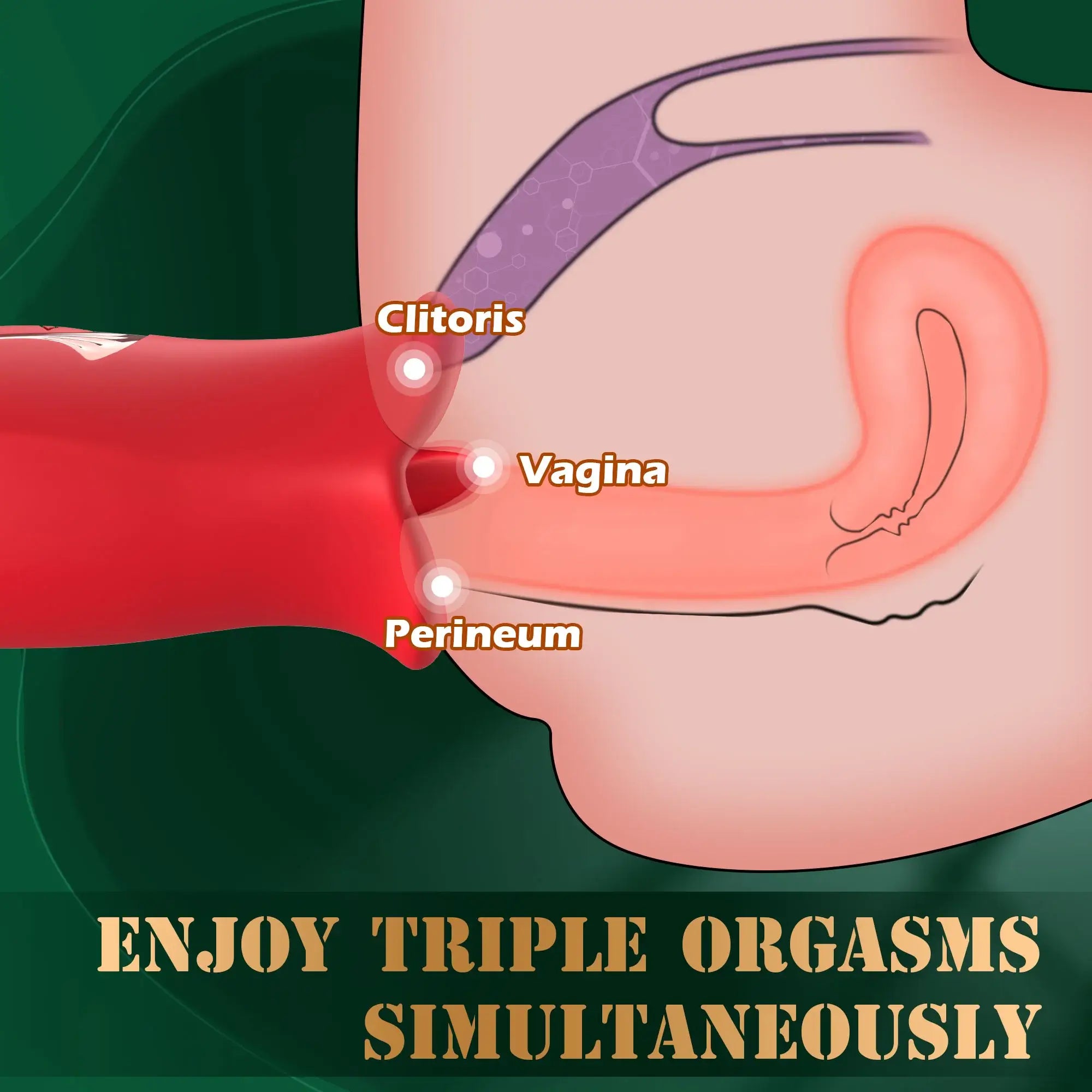 Naughty Nibbler – Realistic Tongue & Mouth Clit Licking & Sucking Bliss